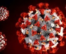 Aparelho pode fazer testes de coronavírus em 30 minutos