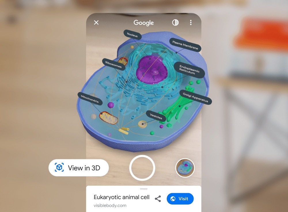 Busca do Google ganha novos objetos em realidade aumentada que mostram os sistema do corpo humano, além de células e itens históricos