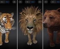 Grave vídeos com os animais 3D de realidade aumentada do Google