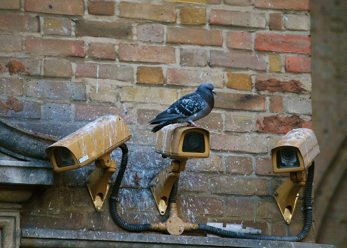 App de produtividade da Microsoft