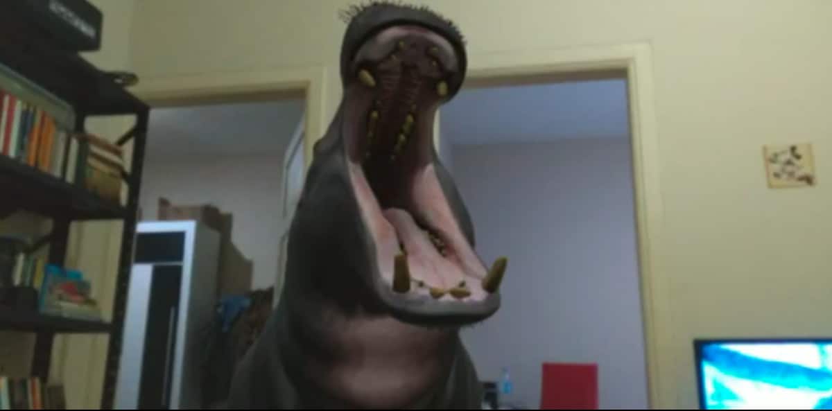 Novos animais na experiência de RA do Google