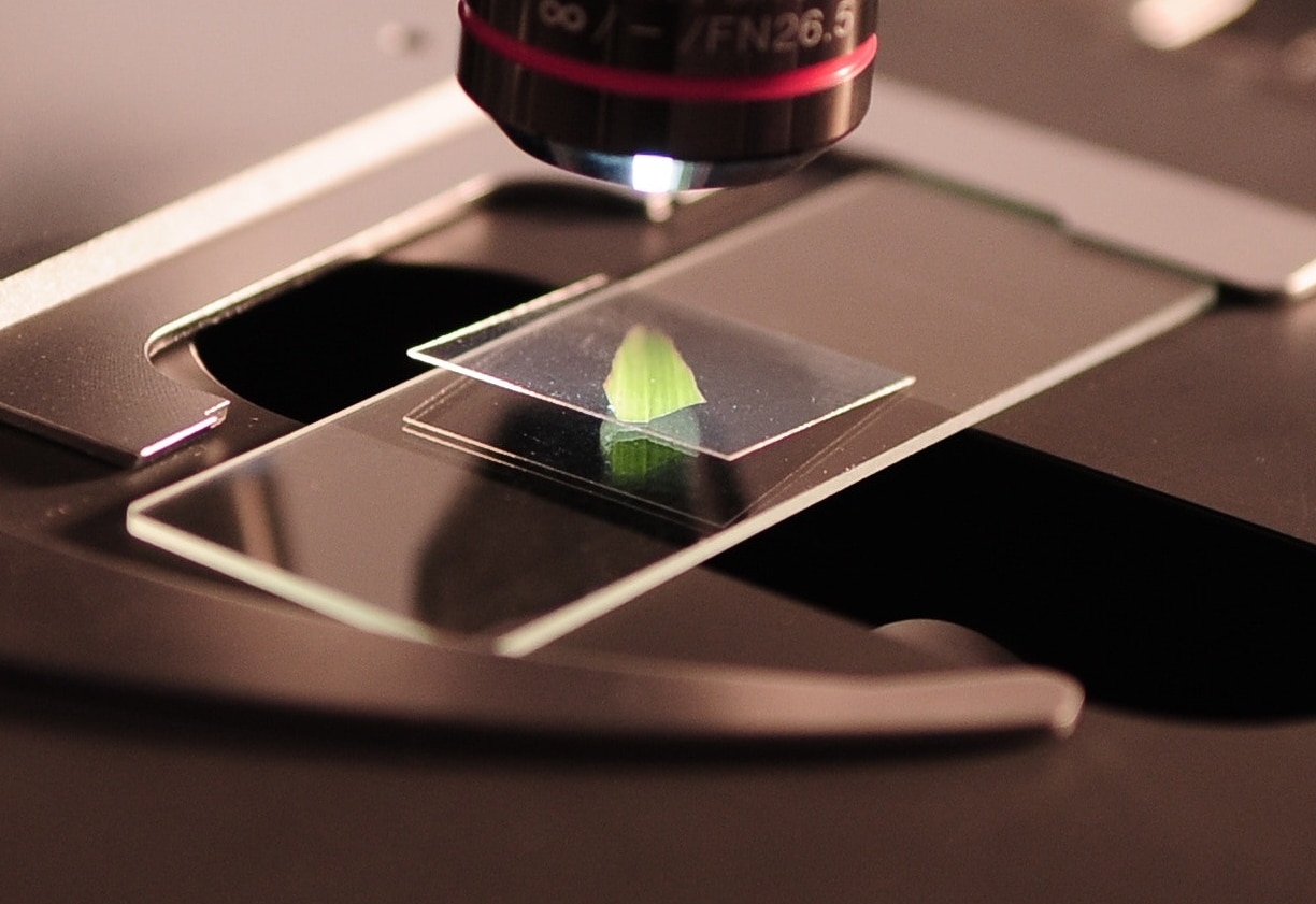 Sucessor do Oppo Find X2, novo modelo X3 Pro pode ter câmera microscópio