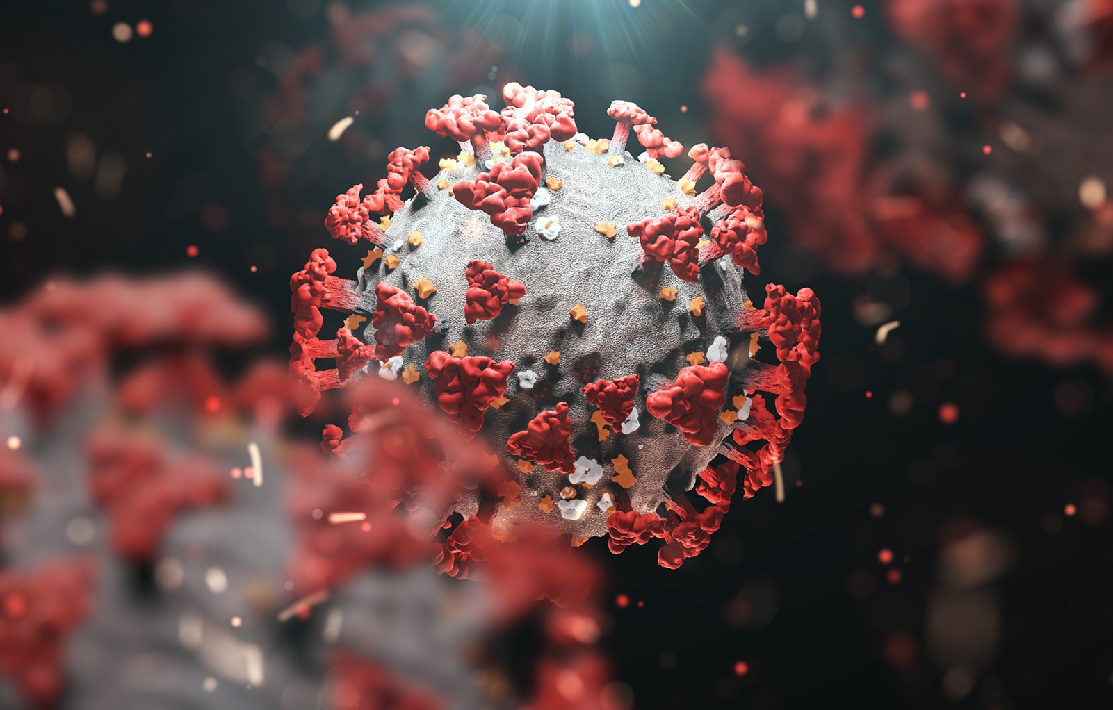 App do governo incentiva uso de cloroquina, ineficaz para tratamento da Covid-19