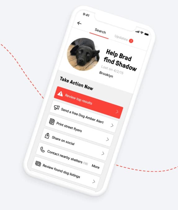 Imagem do aplicativo que encontra cachorros, o Shadow 