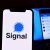 Signal cria supreendente anúncio de denúncia no Instagram e é bloqueado