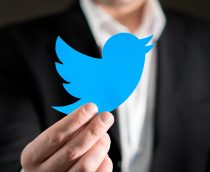 Birdwatch: Twitter lança sistema de discussão (e denúncia) de tweets