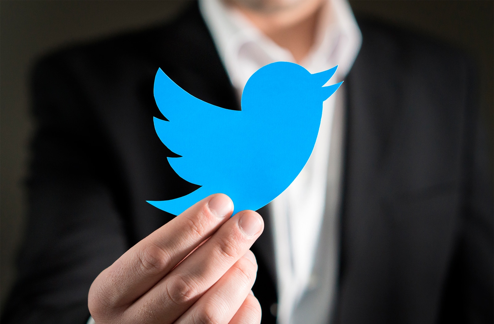 Twitter lança Birdwatch, o sistema de discussão (e denúncia) dos tweets dos outros