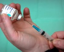 Golpe da vacina contra Covid por WhatsApp: Procon abre investigação policial