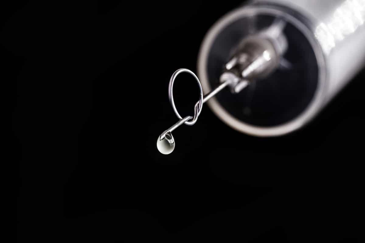 Seringa com agulha torta: figura alegórica ao movimento antivacina