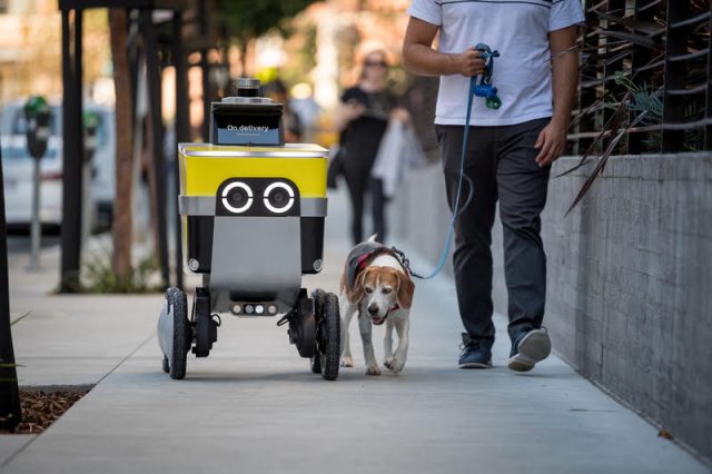 carrinho da uber serve robotics fazendo entregas robóticas ao lado de homem com cachorro