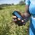 WeFarm, rede social de agricultores, com forte presença na África, anuncia investimentos