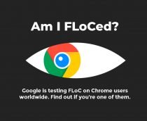 Usa o Chrome? Teste revela se seu navegador já está usando o FLoC