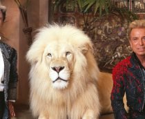 Apple terá podcast exclusivo sobre falecidos mágicos Siegfried & Roy