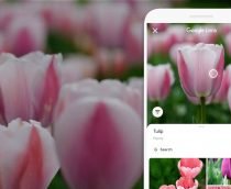 Google Lens poderá traduzir textos de screenshots