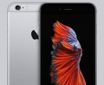 Homem dos EUA processa Apple após bateria de seu iPhone 6 explodir