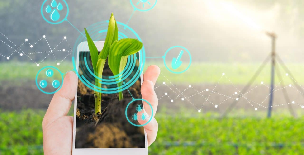 ilustração de celular em um contexto ambiental, para remeter à pegada ambiental do dispositivo