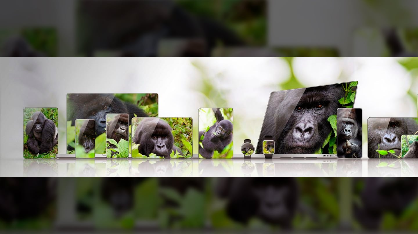 Apple investe na Corning, criadora do Gorilla Glass