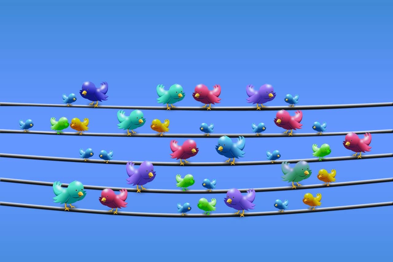Ilustração de vários pássaros, remetendo a vários usuários do Twitter que poderão ter sua conta verificada quando esse sistema estiver novamente liberado pela rede social