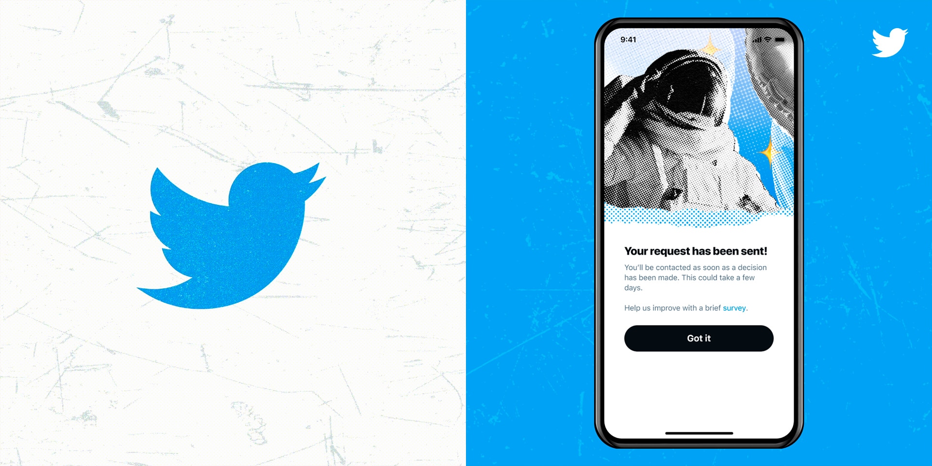 Twitter Blue: saiba quais devem ser as novidades do serviço pago