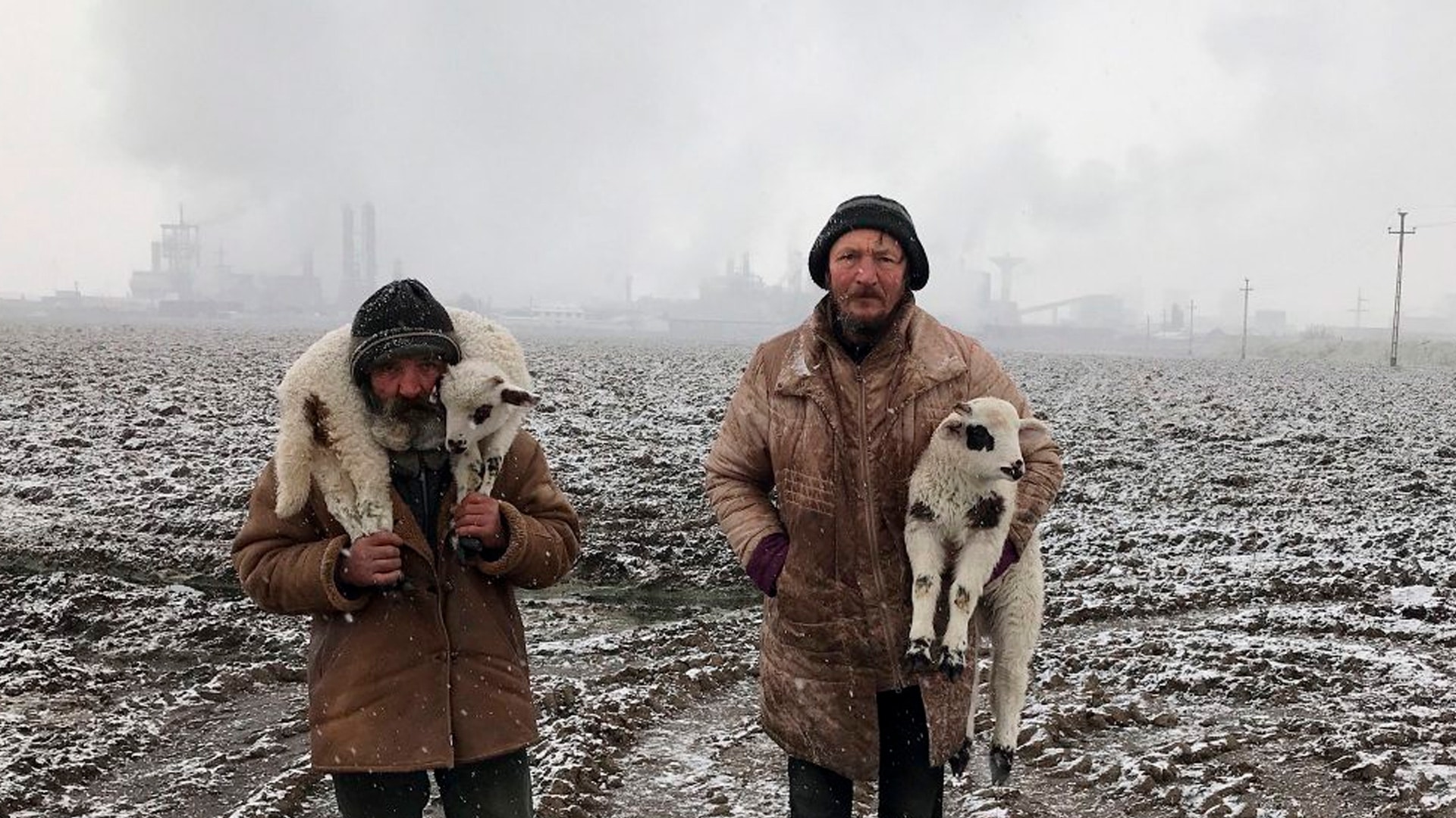 Concurso celebra a melhor fotografia de iPhone de 2021. Imagem: IPPAWARDS/Istvan Kerekes