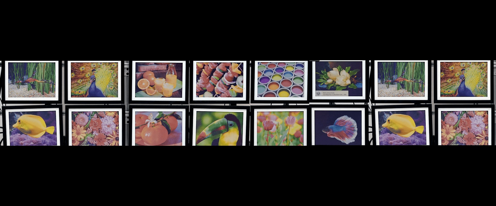 Imagens de ePaper coloridas da eInk