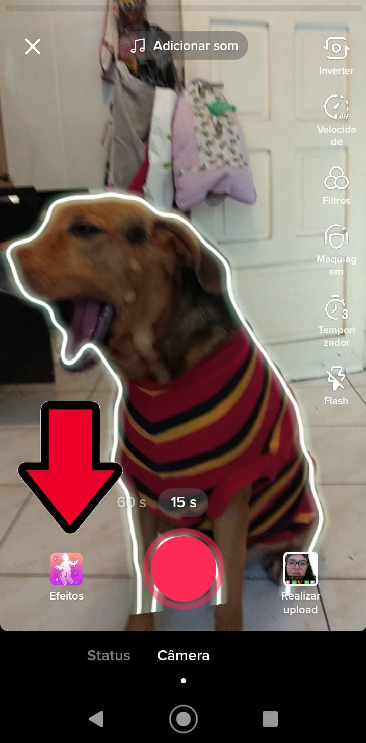 Efeito Photo Crop é tendência no TikTok, saiba como participar Vida