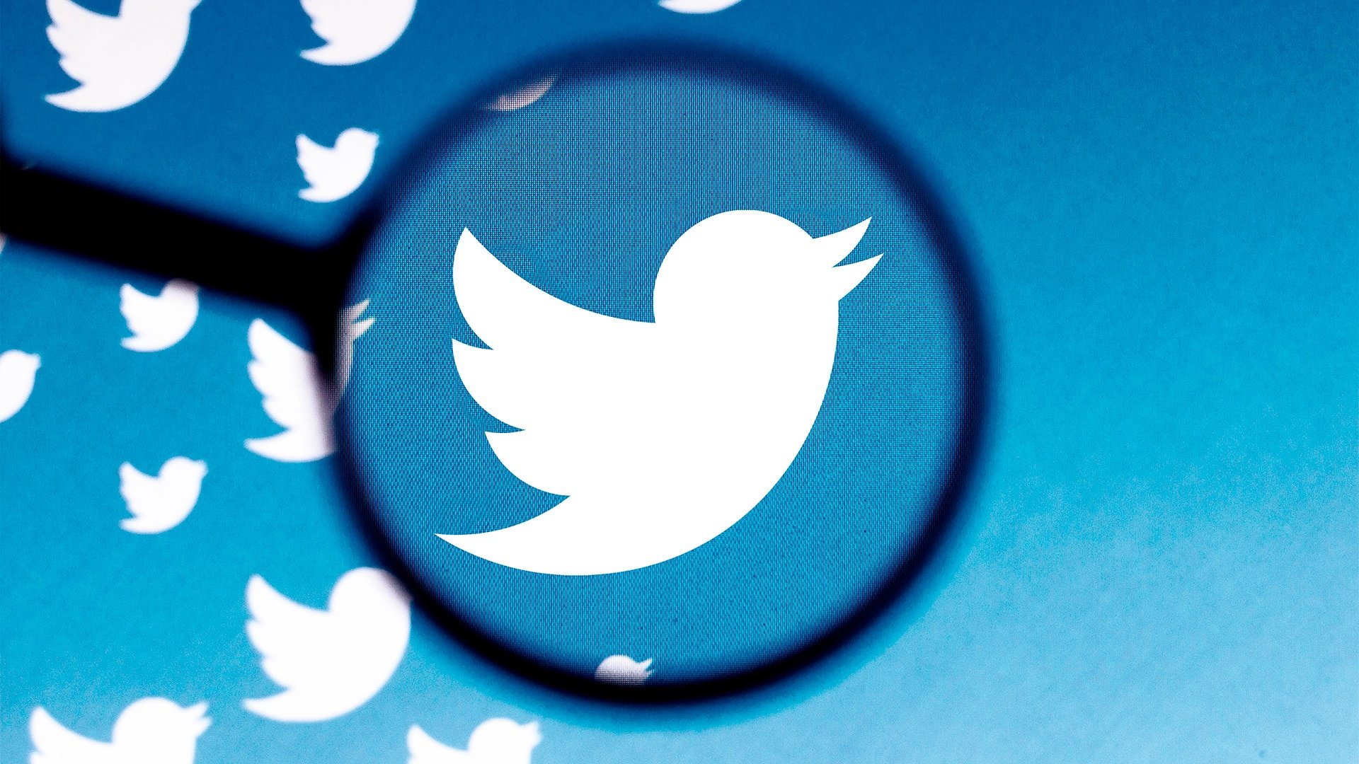 Twitter admitiu que verificou conta paródia por engano. Imagem: rafapress / Shutterstock